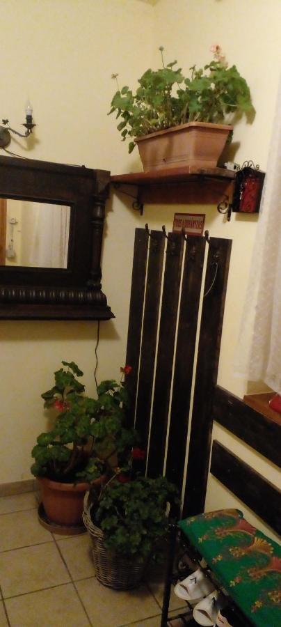 Dutch Farm In Felsolajos Apartment ภายนอก รูปภาพ